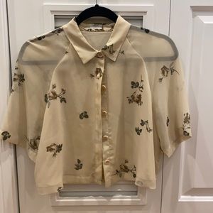 Cropped aritiza shirt